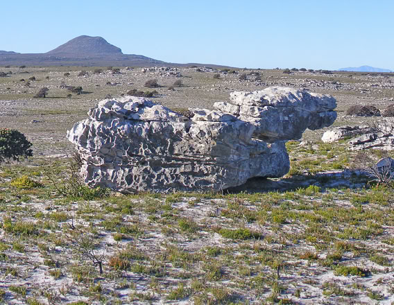 The Table Mountain Group’s Peninsula Formation The youngest of the sedimentary formations (490-410 million years) which make up the bulk of the Cape Peninsula is a very hard, thick-bedded, quartz-rich sandstone. This was formed in deep, fast southward-flowing rivers.